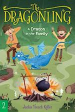 A Dragon in the Family, Volume 2