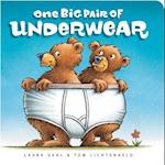 One Big Pair of Underwear