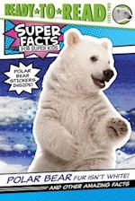 Polar Bear Fur Isn't White!