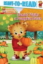 Daniel Visits a Pumpkin Patch