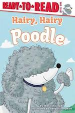 Hairy, Hairy Poodle