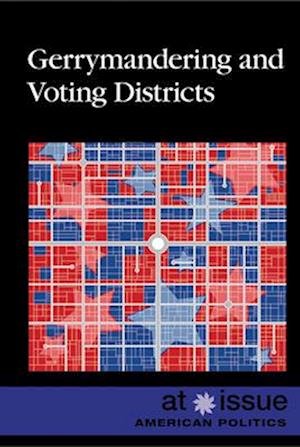 Gerrymandering and Voting Districts