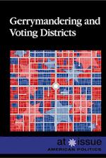 Gerrymandering and Voting Districts