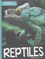 Reptiles