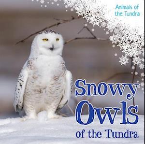 Snowy Owls of the Tundra