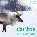 Caribou of the Tundra
