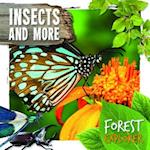 Insects and More
