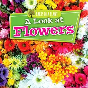 A Look at Flowers