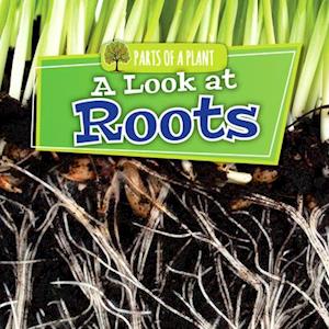 A Look at Roots