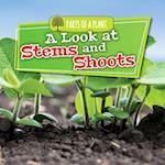 A Look at Stems and Shoots