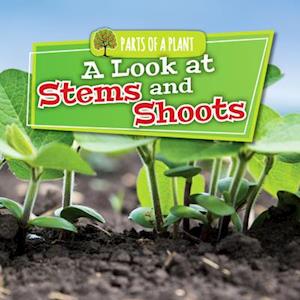 A Look at Stems and Shoots