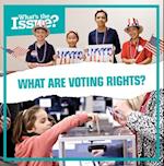 What Are Voting Rights?
