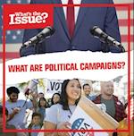 What Are Political Campaigns?