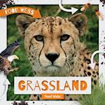 Grassland Food Webs