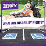 What Are Disability Rights?