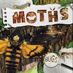 Moths