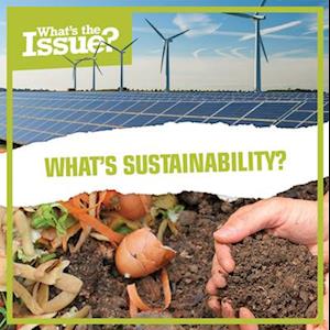 What's Sustainability?