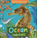 Ocean Habitats