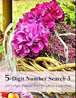 5-Digit Number Search 3