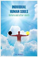 Individual Human Soul