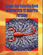 Grown Ups Coloring Book Introduction to Beautiful Patterns