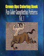 Grown Ups Coloring Book Fun Color Compilation Patterns Vol. 1