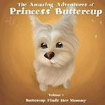 The Amazing Adventures of Princess Buttercup