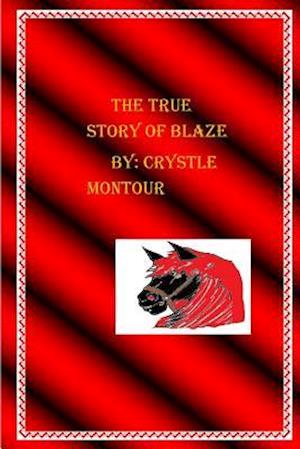 The True Story of Blaze
