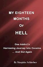 My Eighteen Months of Hell