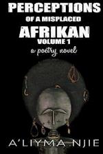 Perceptions of a Misplaced Afrikan
