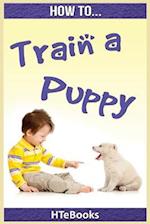 How To Train a Puppy: Quick Start Guide 
