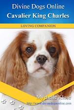 Cavalier King Charles Spaniel