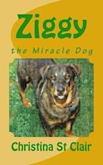 Ziggy, the Miracle Dog