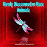 Newly Discovered or Rare Animals