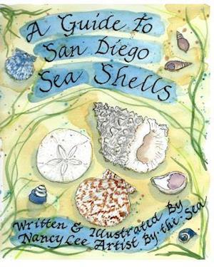 A Guide to San Diego Sea Shells