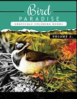 Bird Paradise Volume 2