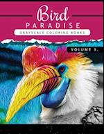Bird Paradise Volume 3