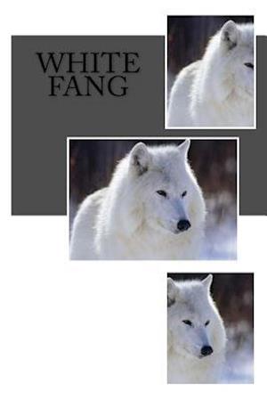 White Fang