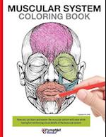 Muscular System Coloring Book