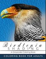 Birdtopia Shading Volume 1