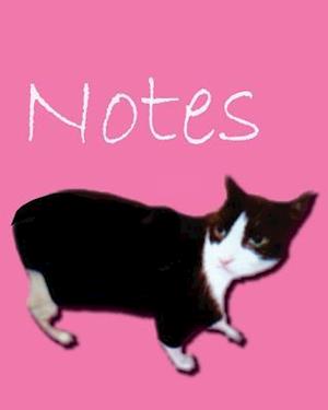 Cat Notes