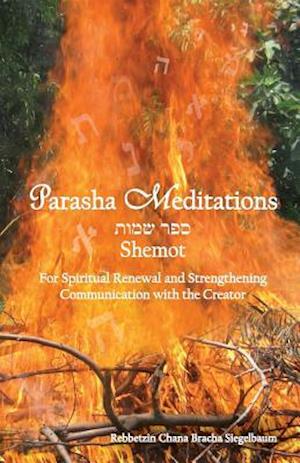 Parasha Meditations