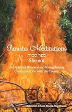 Parasha Meditations