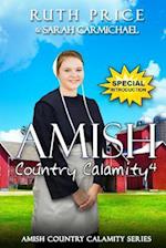 An Amish Country Calamity 4