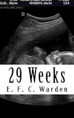 29 Weeks