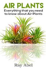 Air Plants