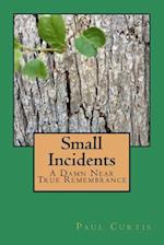Small Incidents