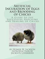 Artificial Incubation of Eggs and Brooding of Chicks