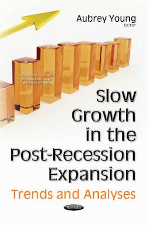 Slow Growth in the Post-Recession Expansion