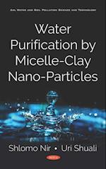 Water Purification by Micelle-Clay Nano-Particles